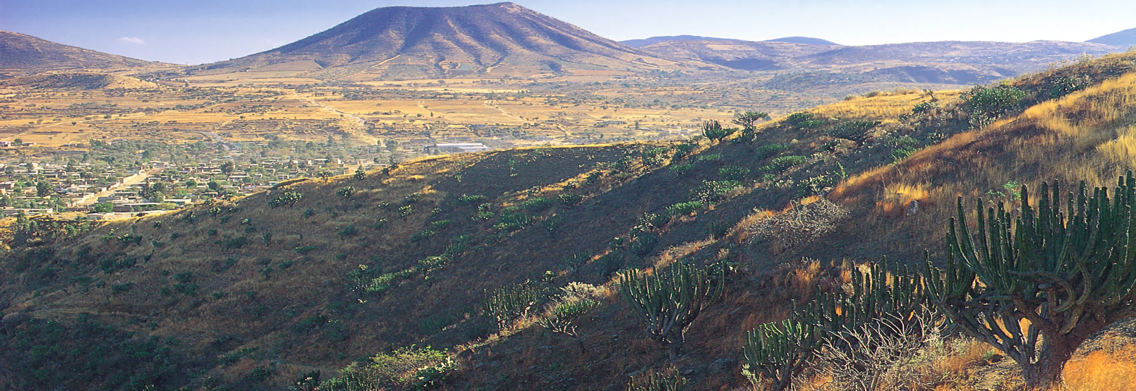 artesanías de sinaloa